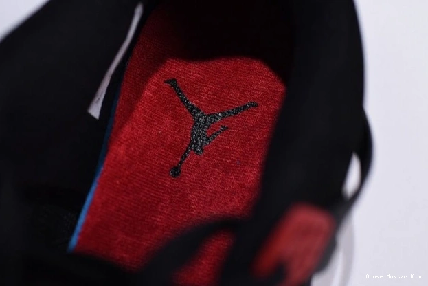 Jordan Retro AQ3816-065 Raptors